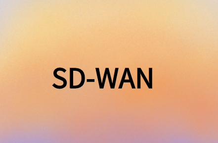 SD-WAN提供安全、靈活且經(jīng)濟(jì)高效的解決方案