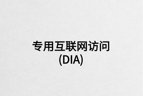 專用互聯(lián)網訪問(DIA)