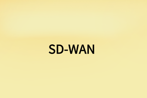 哪個SD-WAN?