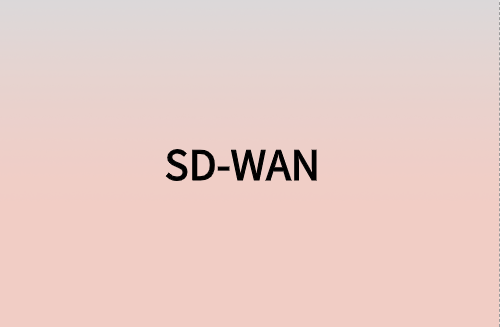 對企業(yè)而言，SD-WAN意味著什么?