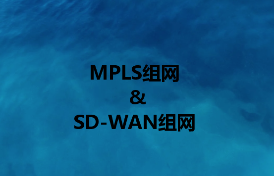 企業(yè)組網(wǎng)解決方案：組網(wǎng)或SD-WAN組網(wǎng)