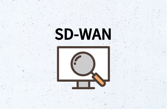 誰使用SD-WAN?