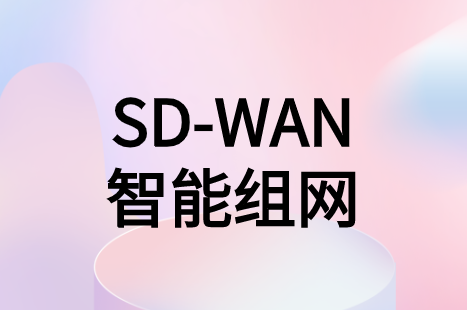 SD-WAN智能組網(wǎng)方案能為企業(yè)解決什么實質性問題?