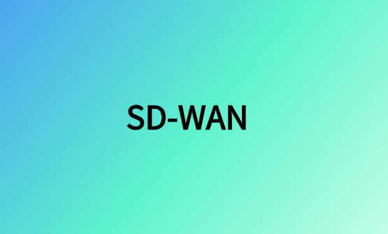 SD-WAN：企業(yè)級網(wǎng)絡組網(wǎng)解決方案